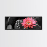 Desert Bloom, Cactus Flower, Vibrant Petals, Nature Beauty, Framed Canvas Print, Boho Wall Art, Living Room Decor, Pink Flower Photography
