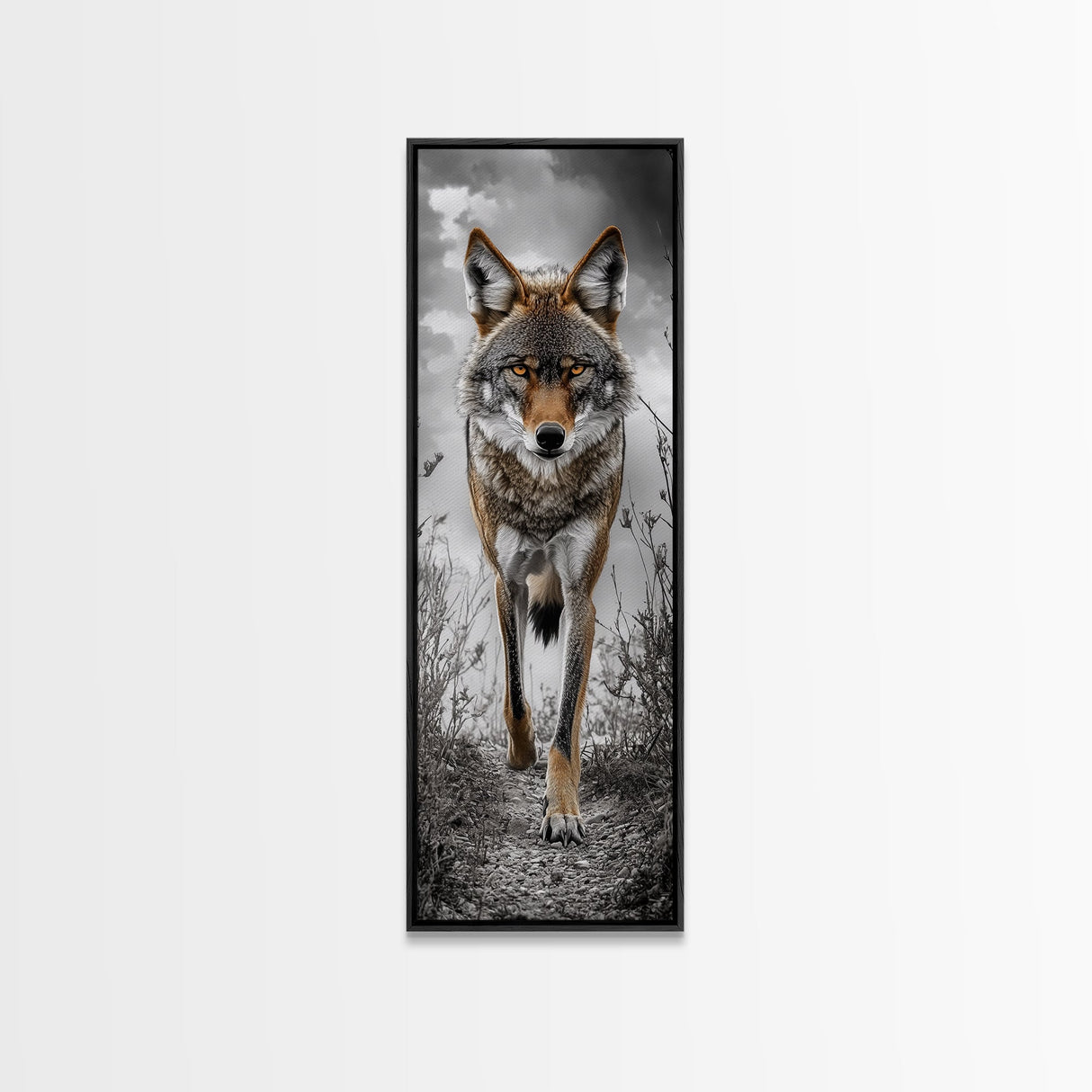 Intense Coyote Stare Framed Canvas Print | Wildlife Wall Art | Rustic Decor | Moody Art | Southwest Wall Art | Above Sofa Art | Gift Idea