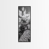 Lizard Close-Up, Framed Canvas Print, wildlife photography, rustic wall art, southwest wall art, desert animal art, black and white home decor