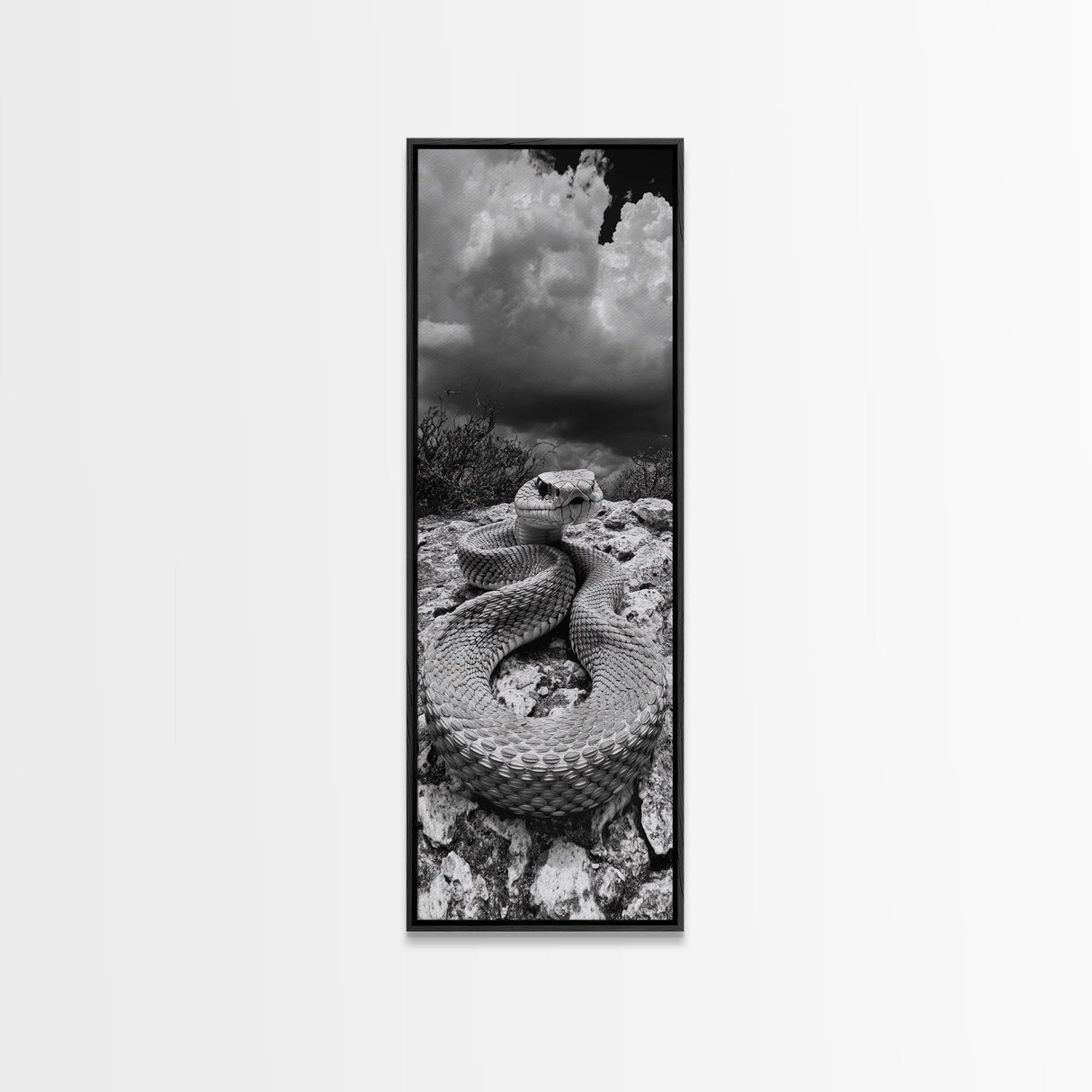 Rattlesnake Desert Art, Framed Canvas Print, southwest wall art, rustic decor, moody art, wildlife photography, cowboy aesthetic, gift idea