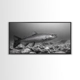 Trout, Fly Fishing Art, Rustic Decor, Coastal Wall Art, Lake Tahoe Art, Fishing Art, Nautical Painting, Framed Canvas Print