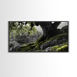 Mossy Oak Tree, oak tree art, nature wall art, rustic art, botanical prints, green wall art, extra wide art, Framed Canvas Print