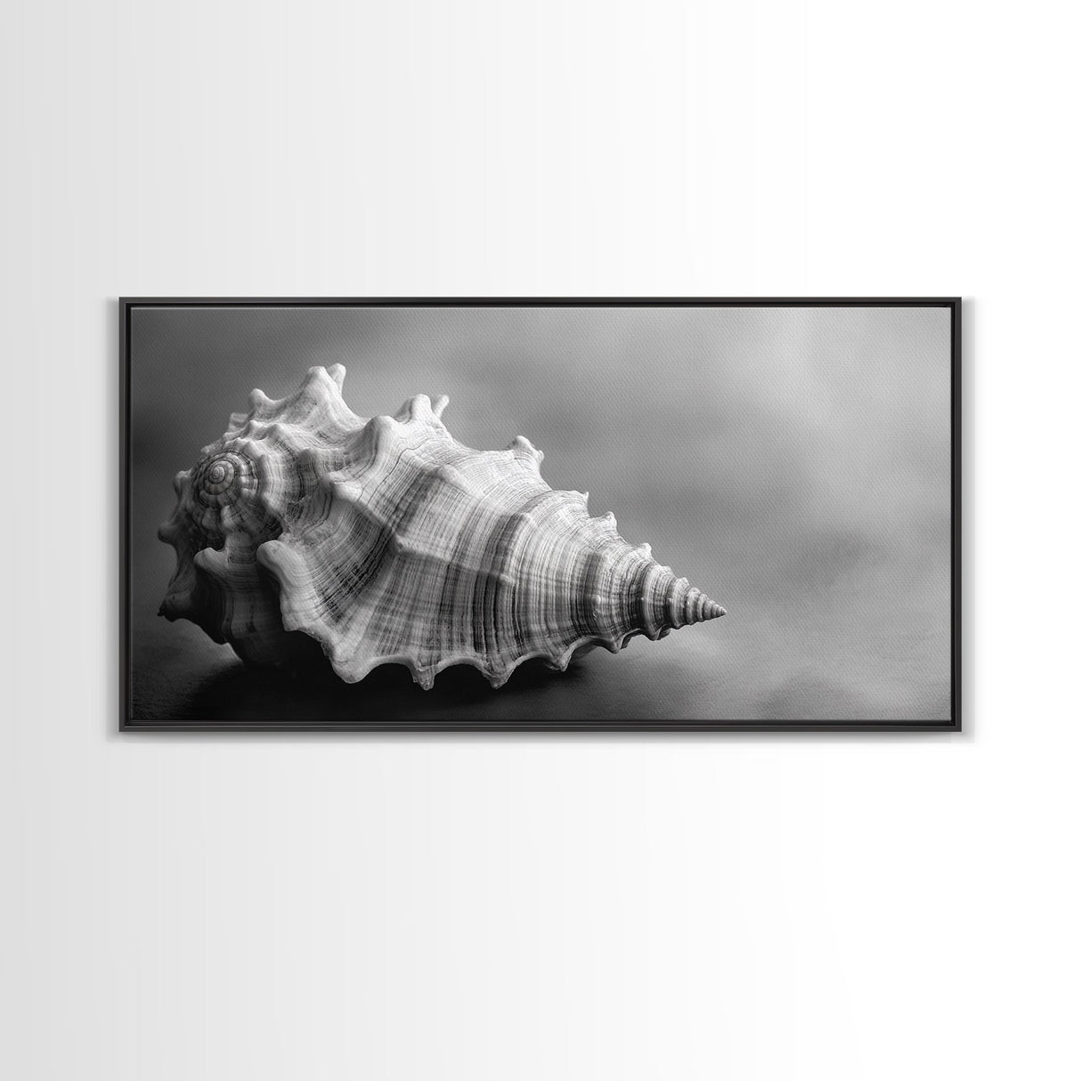 Sea Shell, Wabi Sabi Art, Coastal Decor, Minimalist Art, Nautical Wall Art, Moody Art, Extra Wide Art, Framed Canvas Print