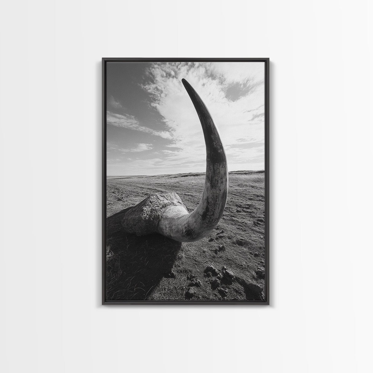 Lone Horn, desert minimalism, rustic western art, wabi sabi decor, moody photography, framed canvas print, black and white, southwest art