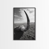 Lone Horn, desert minimalism, rustic western art, wabi sabi decor, moody photography, framed canvas print, black and white, southwest art