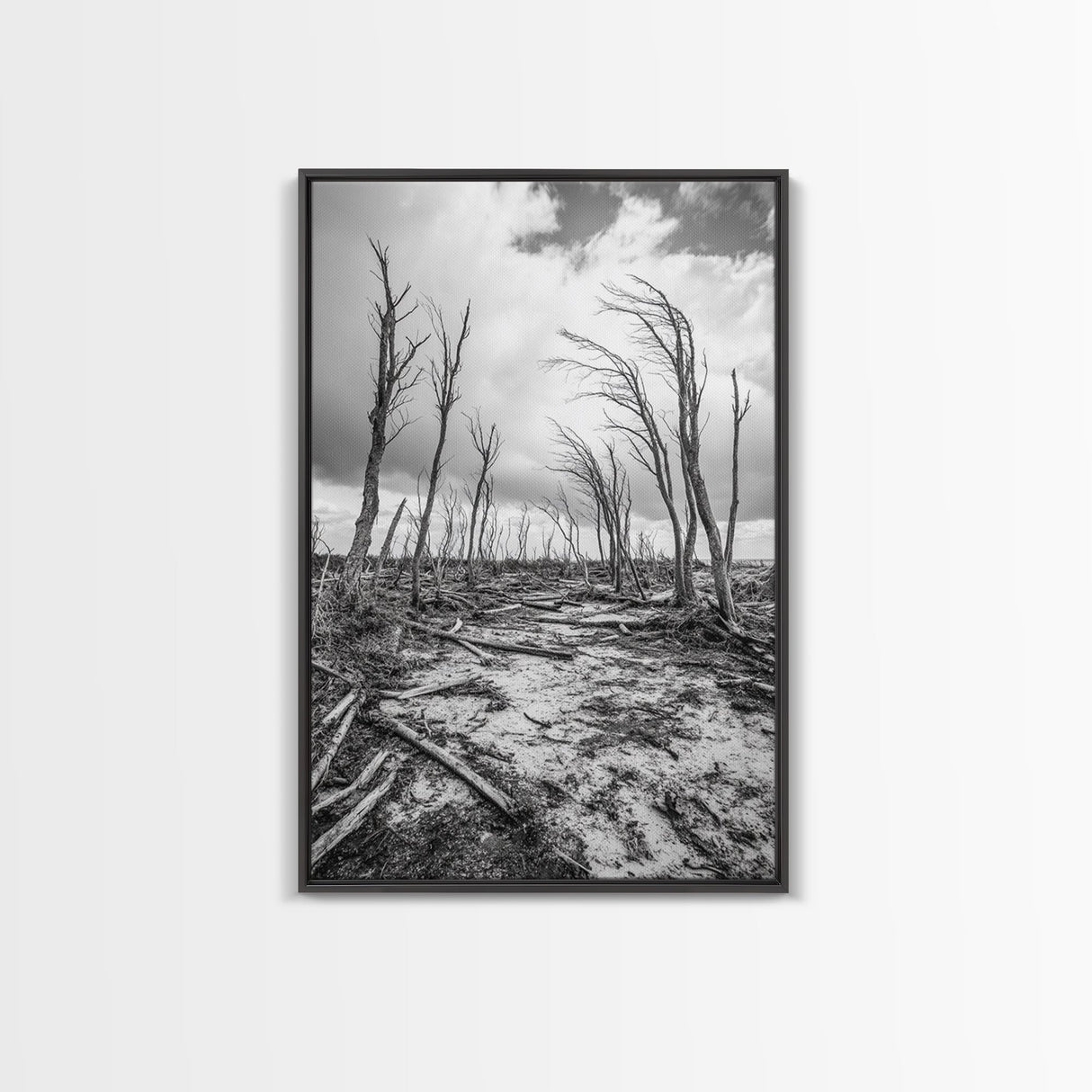 Windblown Trees, stormy sky, moody landscape, wabi sabi art, black and white, framed canvas print, rustic decor, nature photography