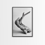 Driftwood Sculpture, wabi sabi art, rustic decor, minimalist art, botanical prints, farmhouse art, framed canvas print, living room art
