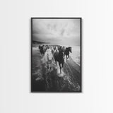 Horse wall art, wild mustangs, moody art, rustic decor, nature photography, black and white art, panoramic art, canvas print, living room art