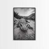 Lizard art, wildlife photography, moody art, desert decor, black and white photography, wabi sabi wall art, framed canvas print, unique gift