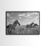 Fine Art Framed Canvas Print, Metal Art, Black & White Photo of Wild Mustangs, Horse Art, American Horses Landscape / Nature / Wildlife Art