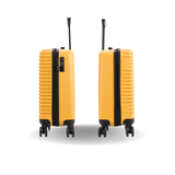 Ally Carry On 20"