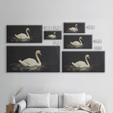 White Swan On A Black Lake, Victorian Style Vintage Art, Framed Canvas Print, Antique Art Reproduction, Traditional Wall Art