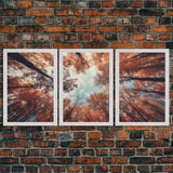 Trees Wall Art, Fall Art Print, Nature Print, Canvas Print, Wall Art, 3 Piece Wall Art, Farmhouse Wall Decor, Living Room Art, Office Prints