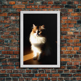 Portrait of a Calico Cat, Framed Canvas Print, Cat Art, Cat Photography, Cat Wall Art
