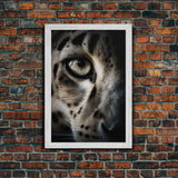Snow Leopard Photography Art, Framed Canvas Print, Predator Art, Big Cat Art