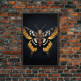 Framed Death Head Moth Canvas Print, Acherontia, Taxidermy Art, Dried Butterfly Print, Bug Wall Art Hanging Decor, Goth Art, Halloween Art