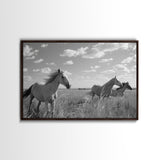 Fine Art Framed Canvas Print, Metal Art, Black & White Photo of Wild Mustangs, Horse Art, American Horses Landscape / Nature / Wildlife Art