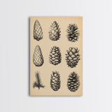Vintage Pinecones Canvas Print - Framed Canvas - Minimalist Christmas Art - Boho Christmas Art - Rustic Christmas Art