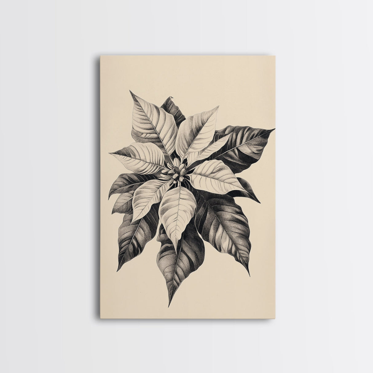 Poinsetta Canvas Print - Framed Canvas - Minimalist Christmas Art - Boho Christmas Art - Rustic Christmas Art