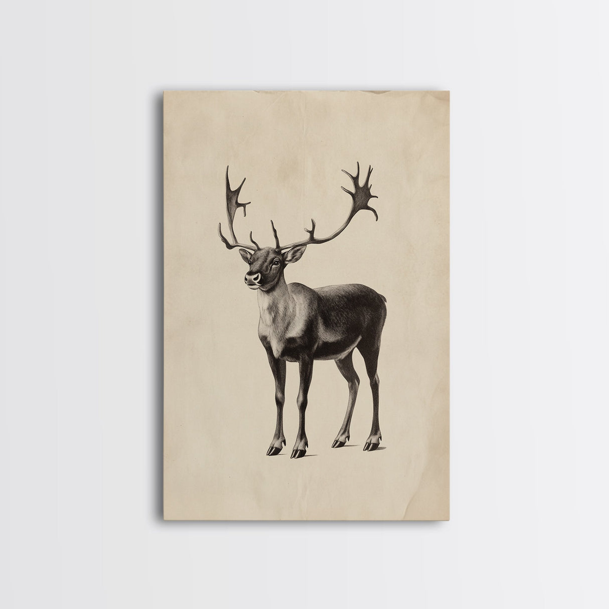 Reindeer Canvas Print - Framed Canvas - Minimalist Christmas Art - Boho Christmas Art - Rustic Christmas Art