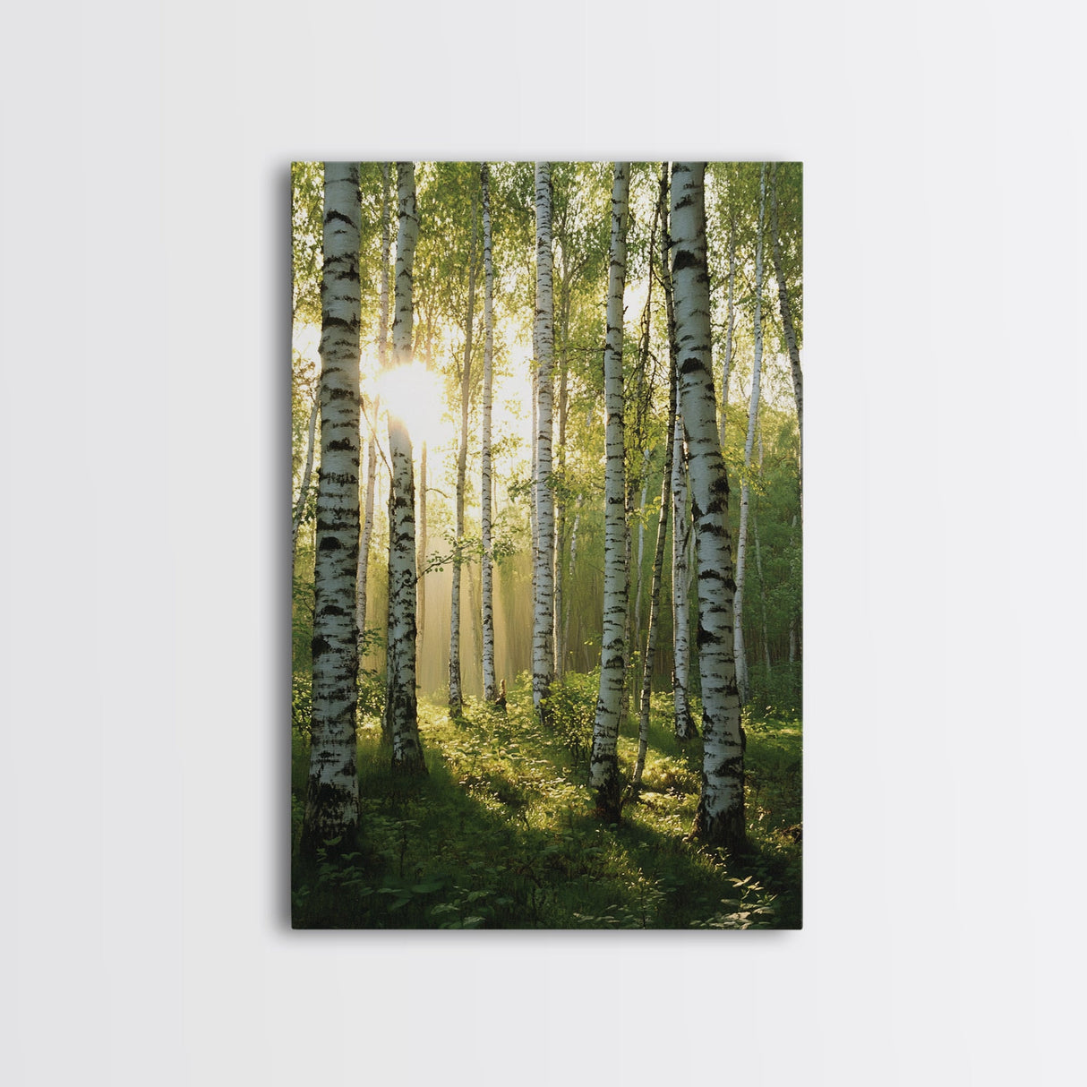 Morning Sunlight Birch Tree Art Canvas Print Natural Landscape Gift Rustic Farmhouse Vertical Artwork Home Decor Above Bed