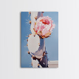 Cactus, Blooming Flower, Desert, Framed Canvas Print, Southwest Wall Art, Boho Aesthetic, Nature Decor, Botanical Art, Bedroom Art