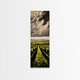 Vineyard Path, Wine Country, Rustic Landscape, Wall Decor, Living Room Art, Framed Canvas Print, Countryside, Nature Artwork