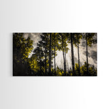 Sunlit Forest, Autumn Trees, Fall Home Decor, Framed Canvas Print, Nature Lover Gift, Cozy Wall Art, Woodland Art