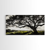 Oak Tree, Scenic Meadow, Black and White Landscape, Framed Canvas Print, Nature Wall Art, Large Canvas Artwork, Living Room Decor