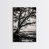 Tree Silhouette, Black White Art, Canvas Print, Dramatic Landscape, Coastal Wall Art, Nature Scene, Monochrome Decor, Minimalist Art