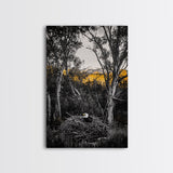 Bald Eagle Nest Art, Black White Forest, Yellow Fall Trees, Wildlife Nature Decor, Rustic Lodge Wall Art, Living Room Art, Canvas Print
