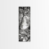 Forest Path, Rock Creek, Canopy Light, Calm Nature Scene, Canvas Print, Entryway Wall Art, Tranquil Minimalist Landscape Print