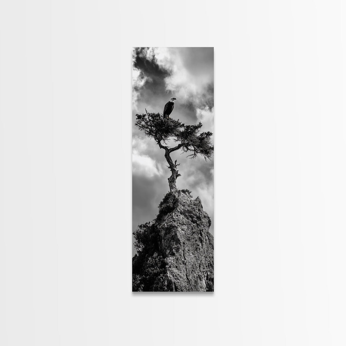 Eagle Tree, Cliff Perch, Bold Wildlife, Adventure Decor, Framed Canvas Print, Rustic Cabin Wall Art, American Symbolic Art