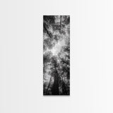 Forest Canopy, Nature Perspective, Tranquil Trees, Black and White, Framed Canvas Print, Cabin Wall Art, Scandinavian Decor, Minimalist Style