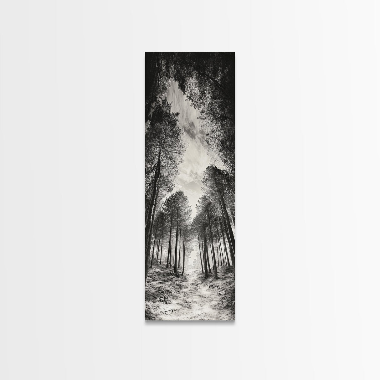 Pine Forest, Nature Path, Tree Canopy, Tranquil Woods, Canvas Print, Forest Wall Art, Minimalist Nature Decor, Meditation Room Artwork