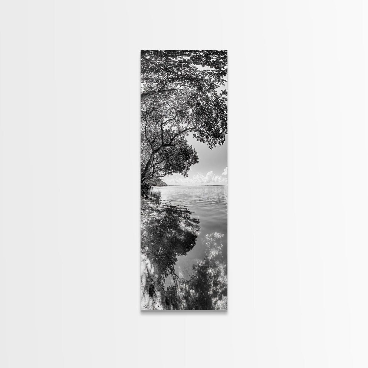 Mangrove Shoreline, Tree Reflections, Still Waters, Tranquil Escape, Black White Nature Framed Canvas Print, Zen Wall Art Entryway Decor