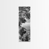 Mangrove Shoreline, Tree Reflections, Still Waters, Tranquil Escape, Black White Nature Framed Canvas Print, Zen Wall Art Entryway Decor