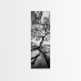 Wisdom Oak Tree, Forest Roots, Ancient Energy, Framed Canvas Print, Rustic Living Room Wall Art, Nature Inspired, Boho Woodland Art