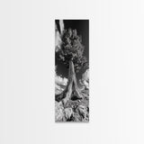 Majestic Tree, Nature Power, Earth Energy, Black White Art, Framed Canvas Print, Modern Rustic Decor, Cabin Wall Art, Tree Lover Gift