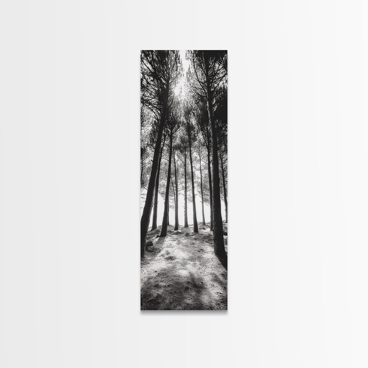 Pine Forest Glow, Woodland Landscape, Monochrome Nature, Boho Style, Framed Canvas Print, Entryway Print, Living Room Wall Art, Game Room Art