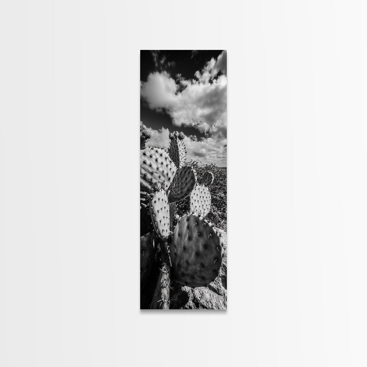 Desert Cactus Closeup, Prickly Pear Focus, Bold Nature Decor, Framed Canvas Print, Southwestern Kitchen Decor, Living Room Art