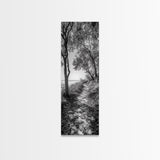 Lakeside Pathway Scene, Forest Walk Tranquility, Coastal Trail Mood, Framed Canvas Print, Nature-Lover Bedroom Wall Art, Cabin Wall Art