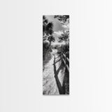 Beach Path, Palm Shadows, Coastal Walkway, Tropical Foliage, Canvas Print, Bathroom or Hallway Wall Art, Coastal Minimalist, Cozy Lodge Decor