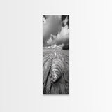 Ocean Clam, Moody Beach, Tidal Lines, Coastal Detail, Canvas Print, Nautical Bathroom Wall Art, Black and White Ocean Decor,  Den Wall Piece
