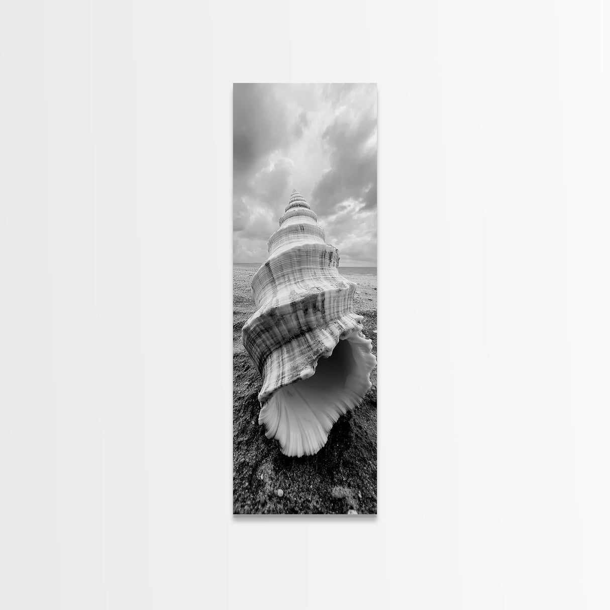 Shell Closeup, Ocean Texture, Natural Spiral, Minimalist Shell, Seashell Photography Framed Canvas Print, Coastal Kitchen Wall Art