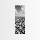 Shell Beach, Coastal Texture, Seashell Ground, Nature’s Bounty, Rustic Ocean Canvas Print, Neutral Kitchen Wall Art, Boho Coastal Style