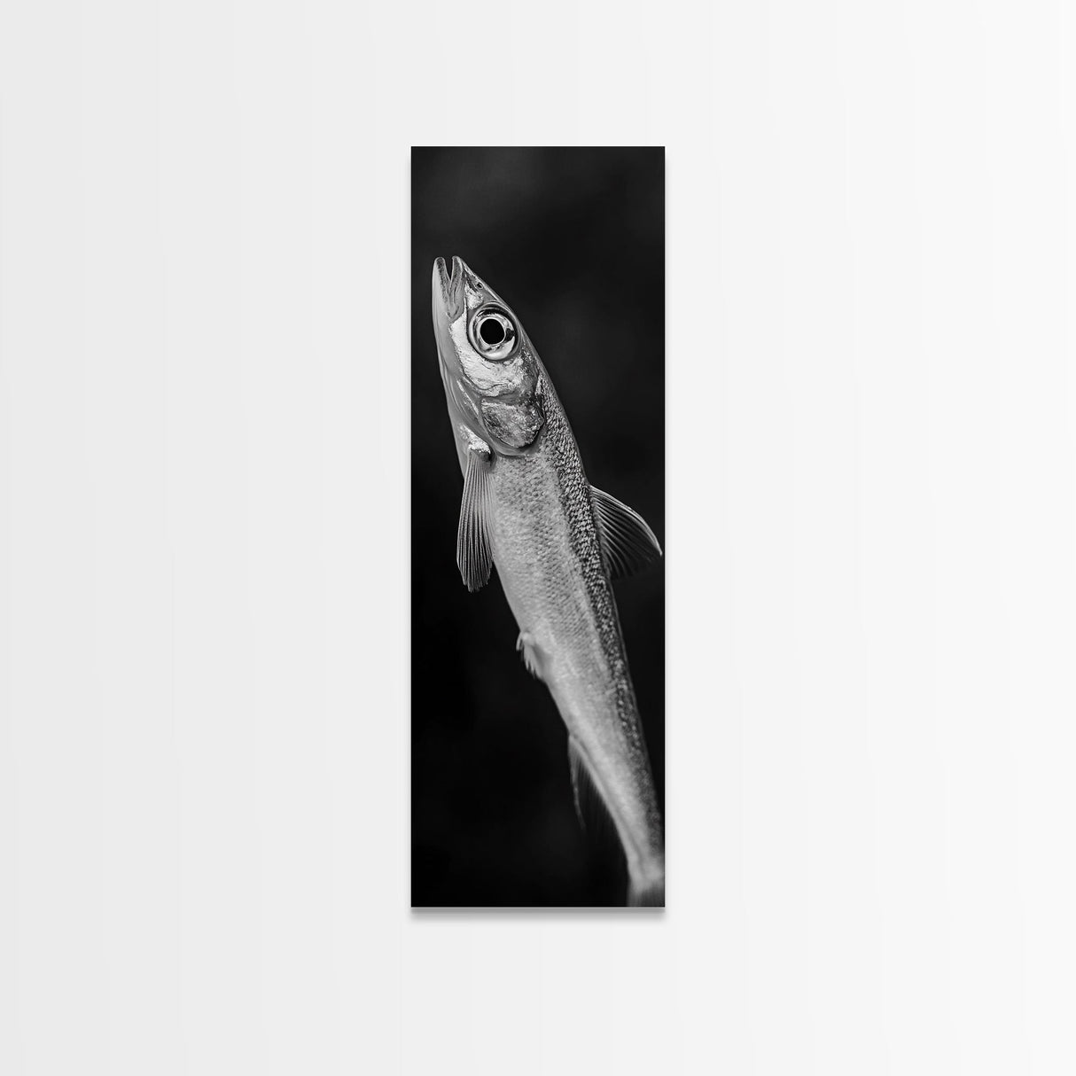 Silver Fish, Minimal Animal, Ocean Catch, Framed Canvas Print, Kitchen Wall Art, Nature Inspired Decor, Monochrome Sea Life