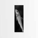 Silver Fish, Minimal Animal, Ocean Catch, Framed Canvas Print, Kitchen Wall Art, Nature Inspired Decor, Monochrome Sea Life