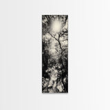 Forest Path, Sunburst Trees, Woodland Trail, Nature Light Framed Canvas Print, Boho Entryway Wall Art, Autumn Rustic Home Decor