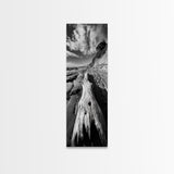 Driftwood Beach, Ocean Texture, Nature Scene, Canvas Print, Rustic Beach Decor, Coastal Wall Art, Bathroom Art, Moody Seaside Print